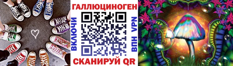 Галлюциногенные грибы GOLDEN TEACHER  купить наркотики цена  kraken ТОР  Ставрополь 